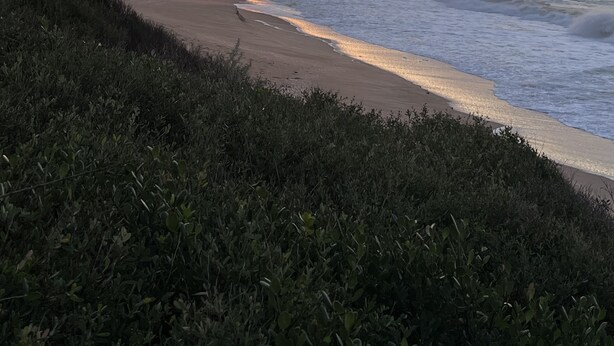A beach with waves and a sunset. - Cosy Pet Friendly Beach Cottage (Golden Beach)