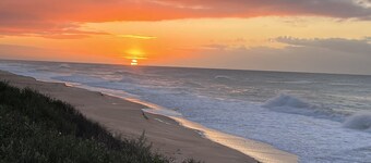 Cosy Pet Friendly Beach Cottage