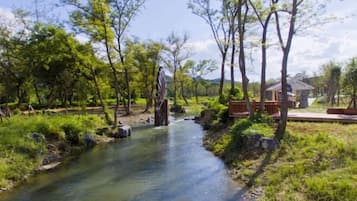 Khuôn viên nơi lưu trú