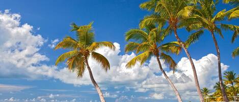 Playa en los alrededores