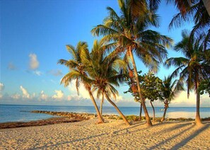 Ein Strand mit Palmen und blauem Himmel.