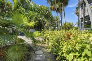A pathway leading through a lush garden with palm trees and various plants.