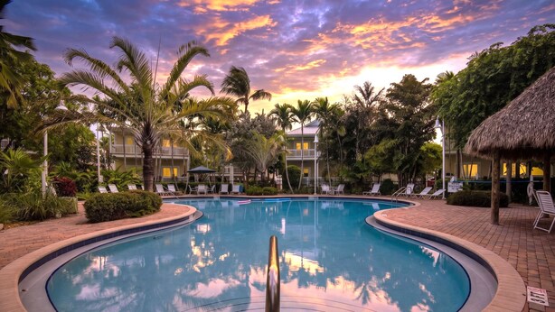 Una piscina de borde curvo, rodeada de palmeras y sillas de descanso, con un edificio al fondo.