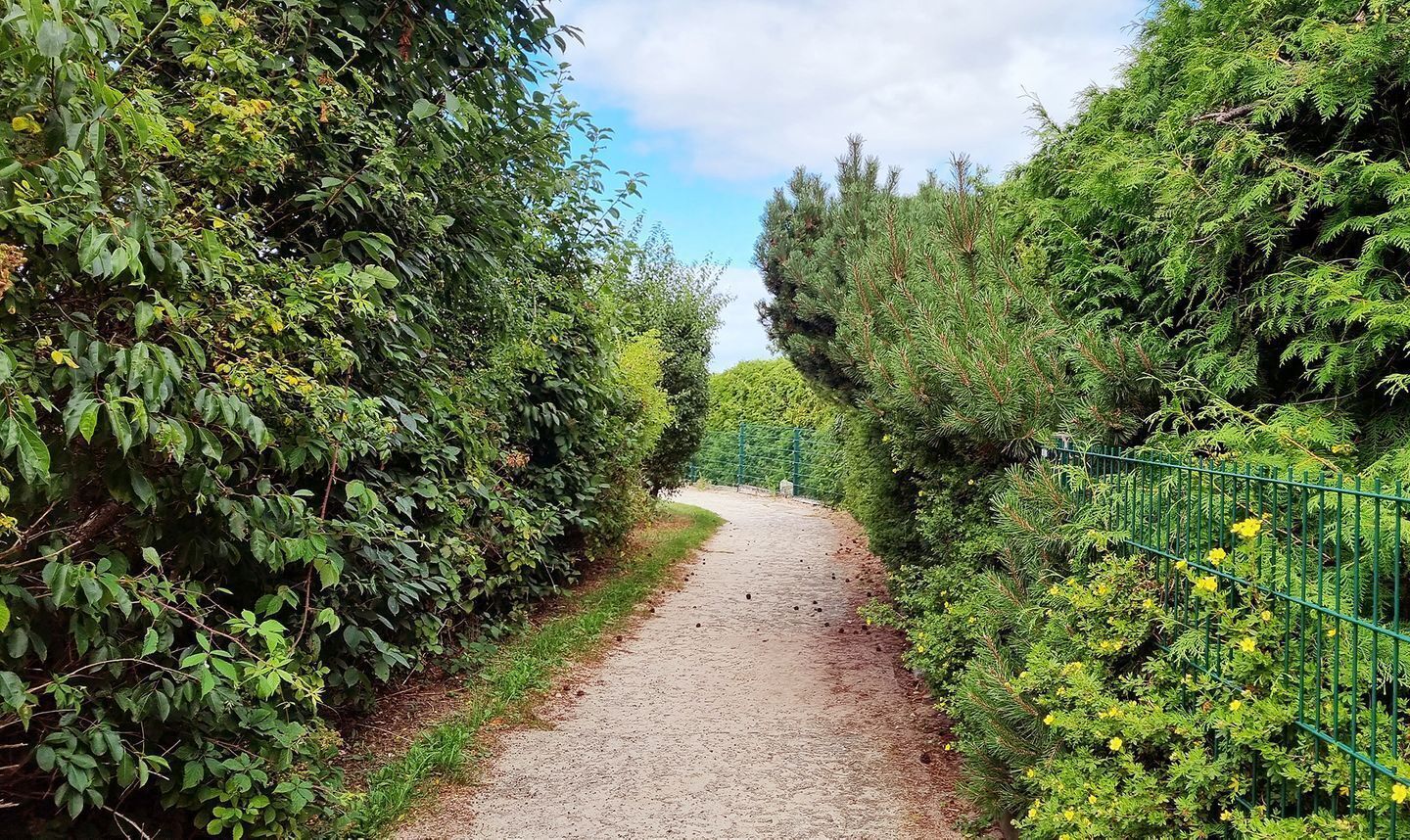 Área da propriedade