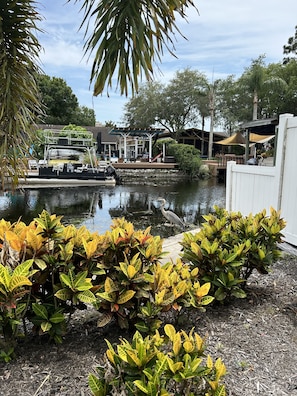 Enjoy serene views of the adjacent pond and surrounding plants from this tranquil outdoor space.