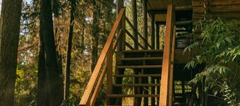 Modern romantic 2-bed log cabin in the forest