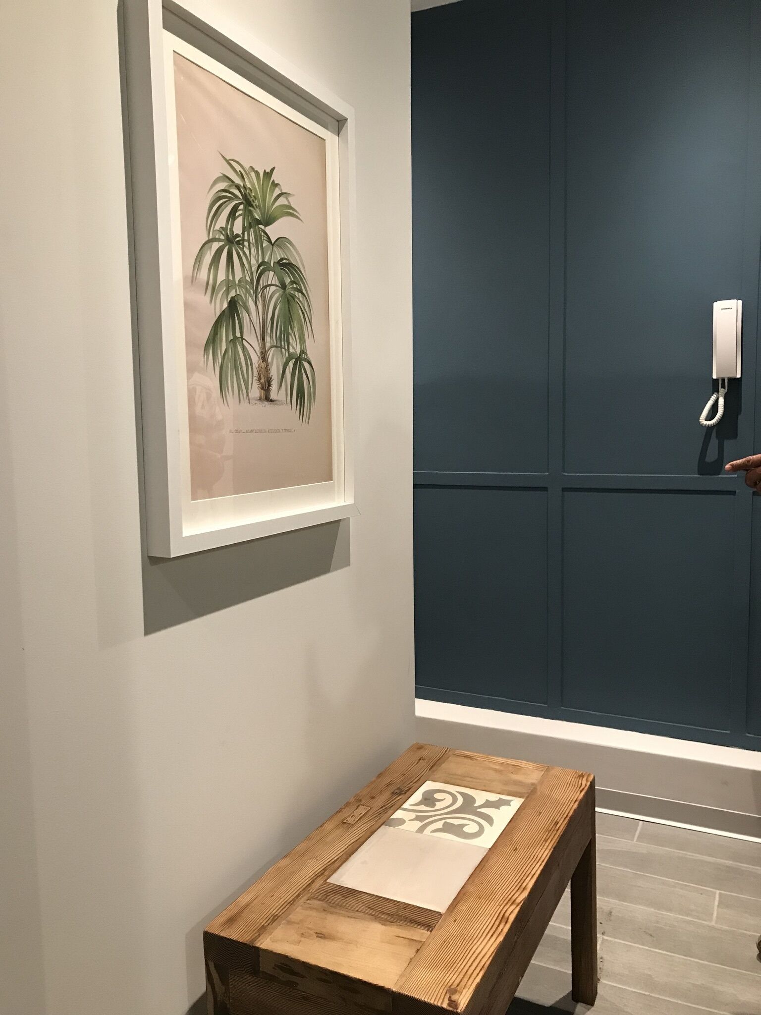 Una ilustración botánica enmarcada en una pared, un banco de madera con un panel decorativo, y una puerta azul oscuro con un teléfono.