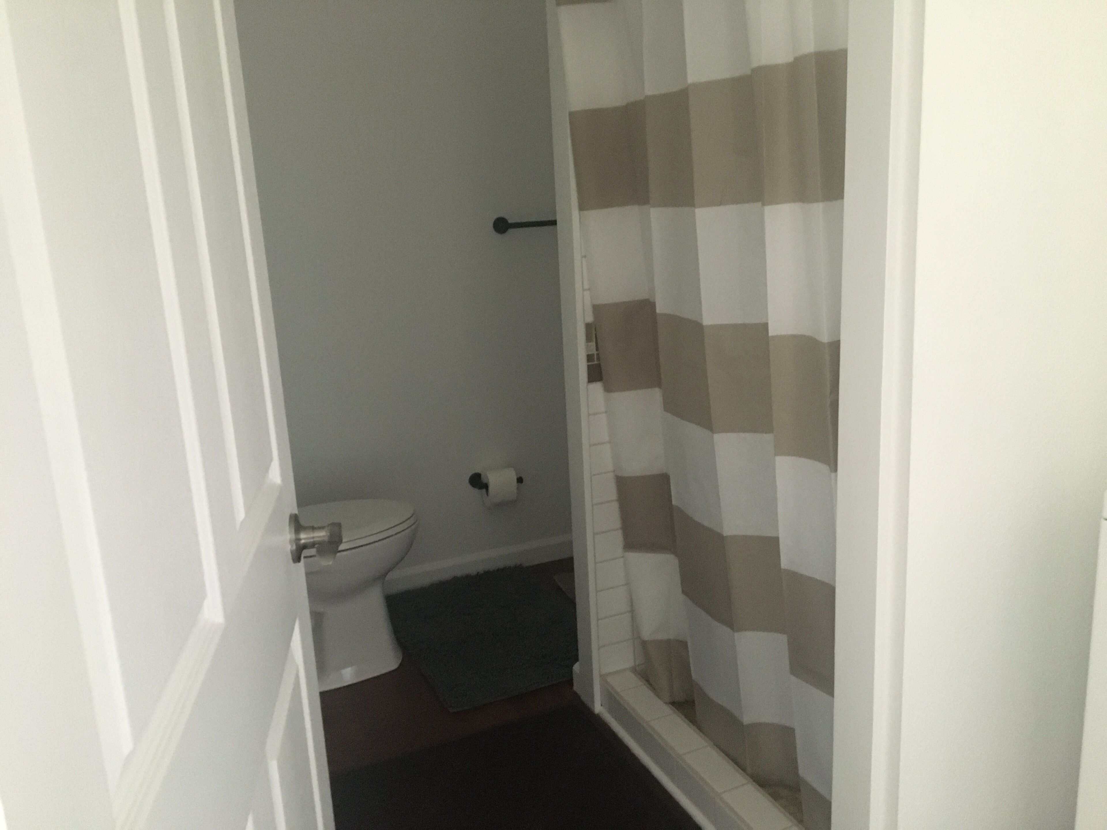 A bathroom with a toilet, a shower curtain, and a small rug.