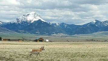 A wide-open field with a mountain range in the background and a building with a green roof.