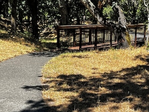 Stroll through the serene wooded area, surrounded by lush greenery and a well-maintained pathway.