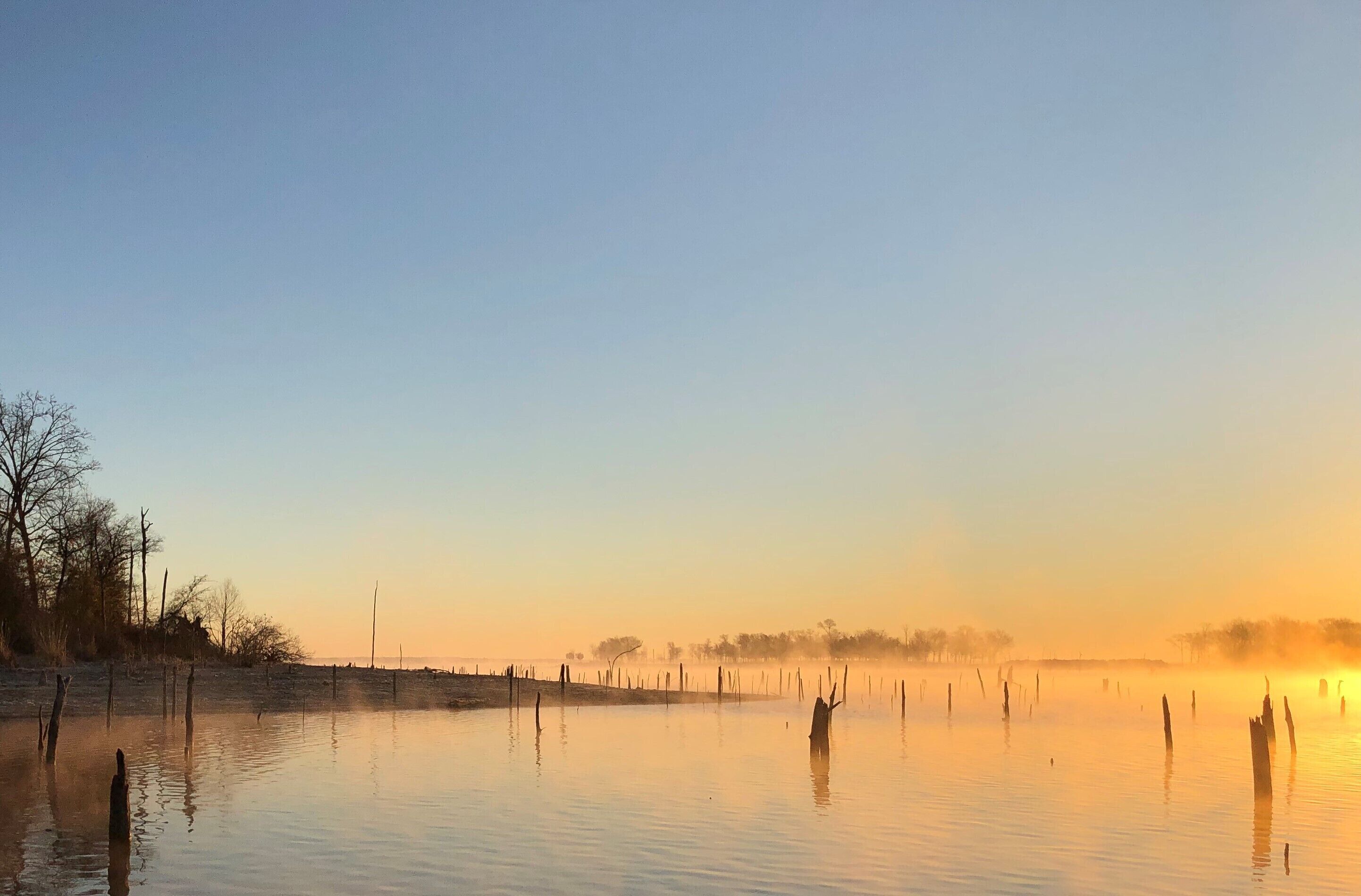 A calm lake with trees and a clear sky.