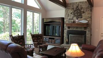 Smart TV, lareira, livros