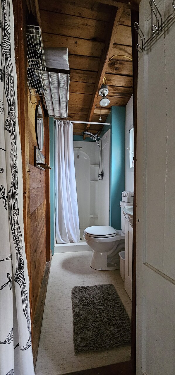 Ein Badezimmer mit Toilette, Dusche und Waschbecken.