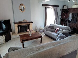 Smart TV, fireplace, books