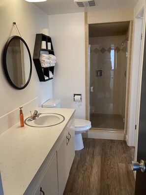 Shower, towels, toilet paper
