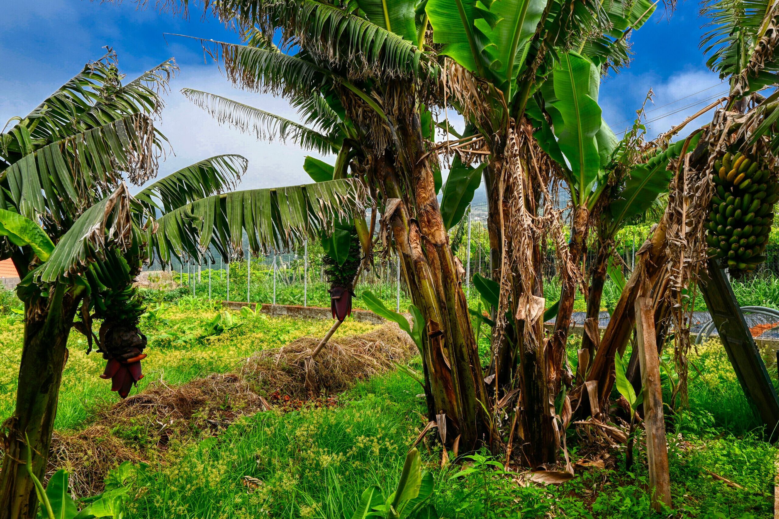 Áreas de la propiedad