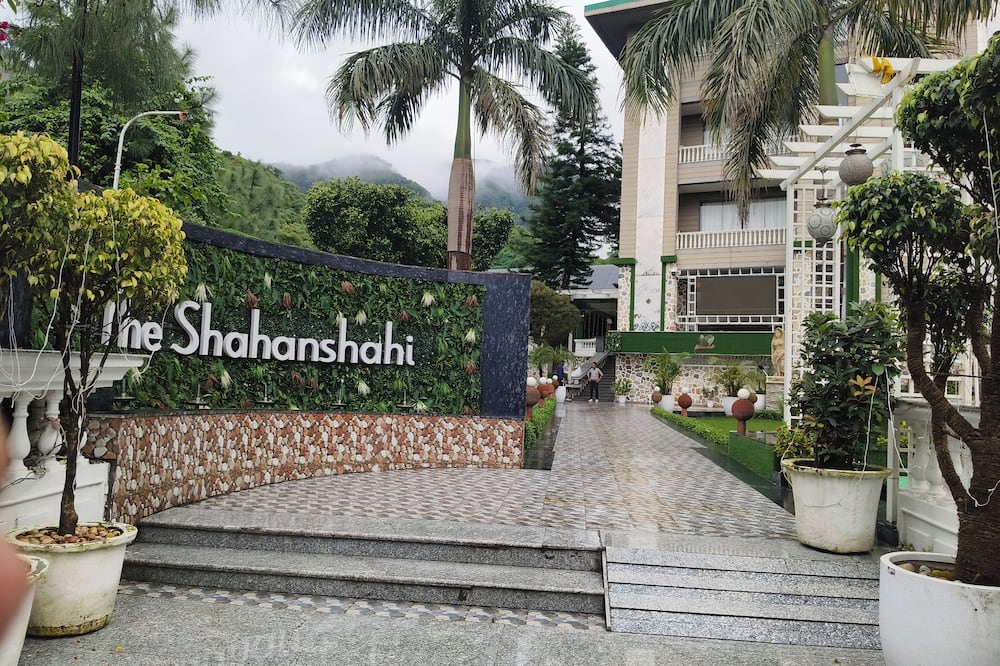 The shahanshahi