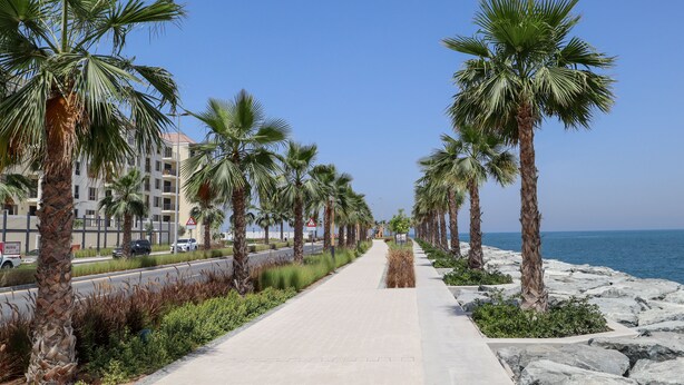 A paved walkway lined with palm trees and a body of water in the background. - HiGuests - La Cote B2 (Dubai)