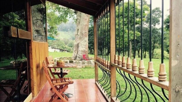 Un patio abrité avec une table et des chaises en bois, un mur en pierre et une vue sur un jardin luxuriant.