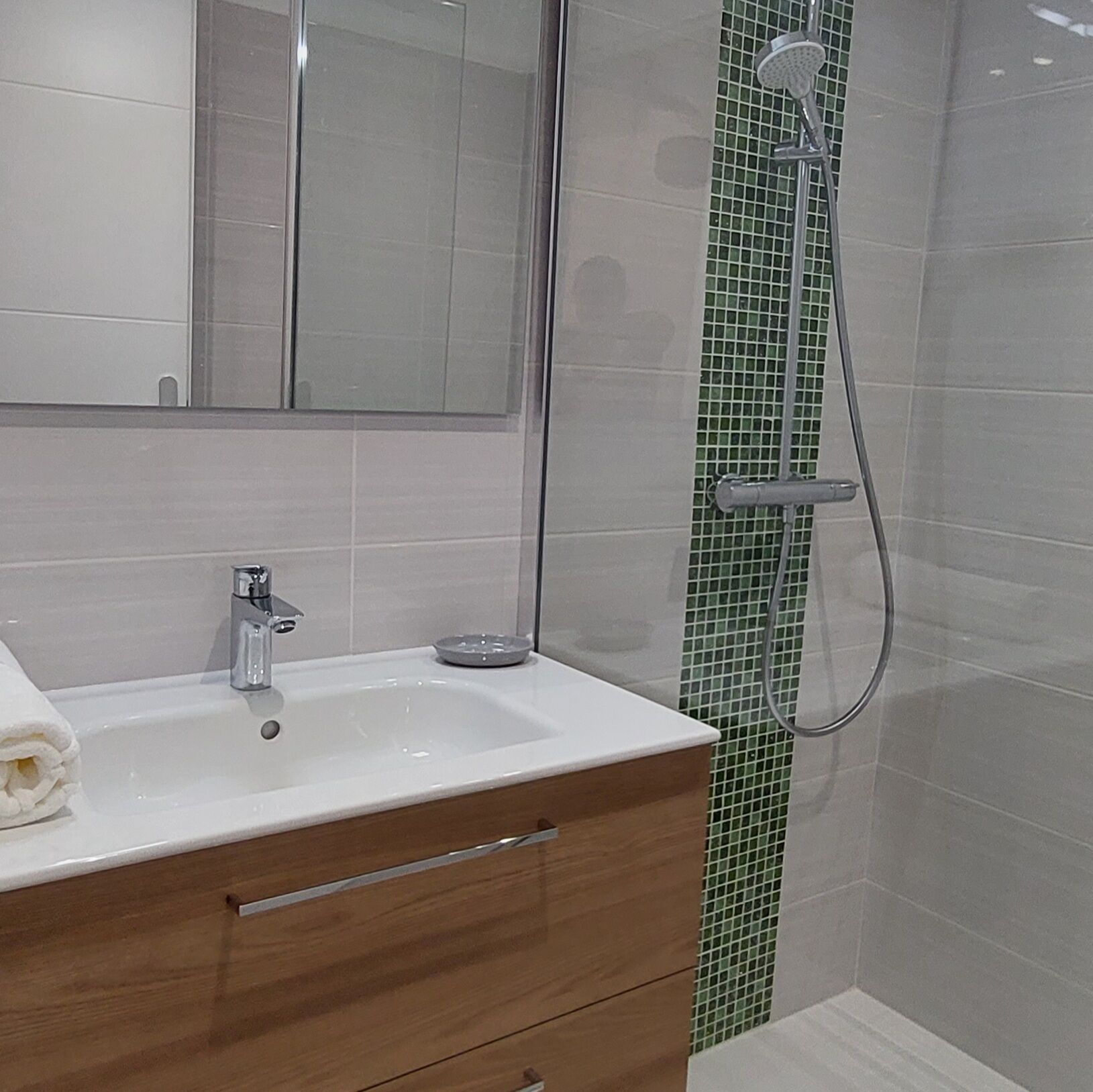 Shower, hair dryer, towels
