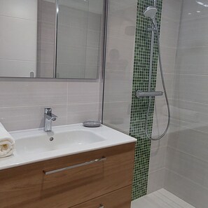 Shower, hair dryer, towels