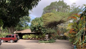 A paved courtyard with potted plants, a red car, and a building with a thatched roof. - NEW PAMOJA RESORT (Arusha)