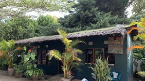 A thatched-roof building with large windows, surrounded by potted plants and a paved walkway. - NEW PAMOJA RESORT (Arusha)