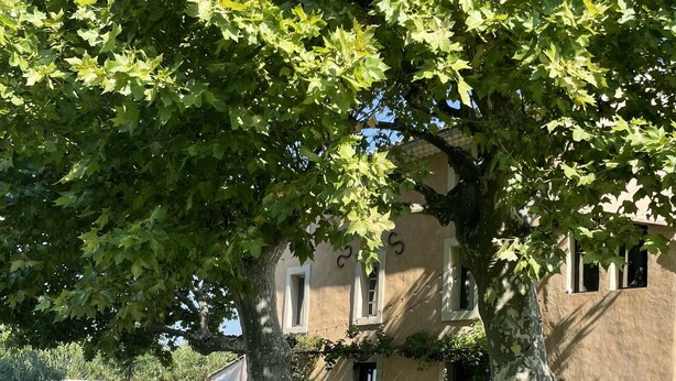 Un edificio con un patio, una mesa y sillas, y un árbol grande que da sombra.