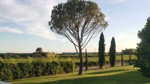 Una piscina con vista despejada a un césped cuidado, un árbol grande y un campo lejano.