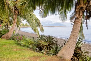 Une plage bordée de palmiers et délimitée par une clôture.