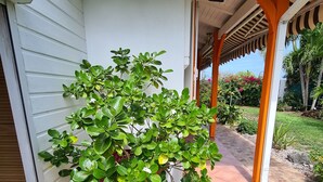 Überdachter Erker mit einem Blumentopf, Fliesenboden und Blick auf einen Garten mit verschiedenen Pflanzen und Blumen.