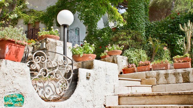Un escalier en pierre menant à un bâtiment doté d’une rambarde en métal et de plantes en pot.