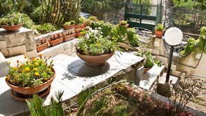 Un jardin agrémenté de différentes plantes en pot et doté d’un portail en métal.