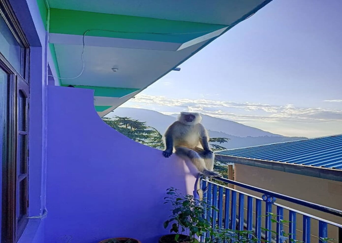 Enceinte de l’hébergement