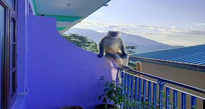 Ram Yoga House Apartment #2