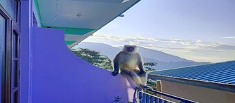 Ram Yoga House Apartment #2