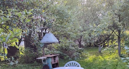 Linistit, zona frumoasa cu vedere la munti.