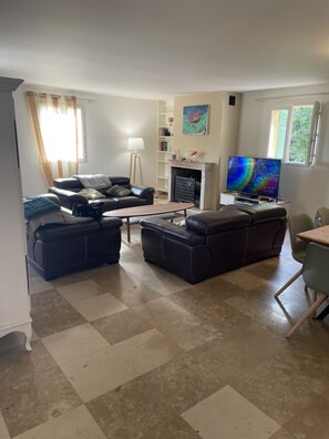 Smart TV, chimenea, videojuegos y reproductor de DVD 