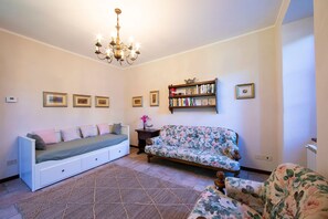 Televisión 21 pulgadas con canales de televisión por cable, chimenea