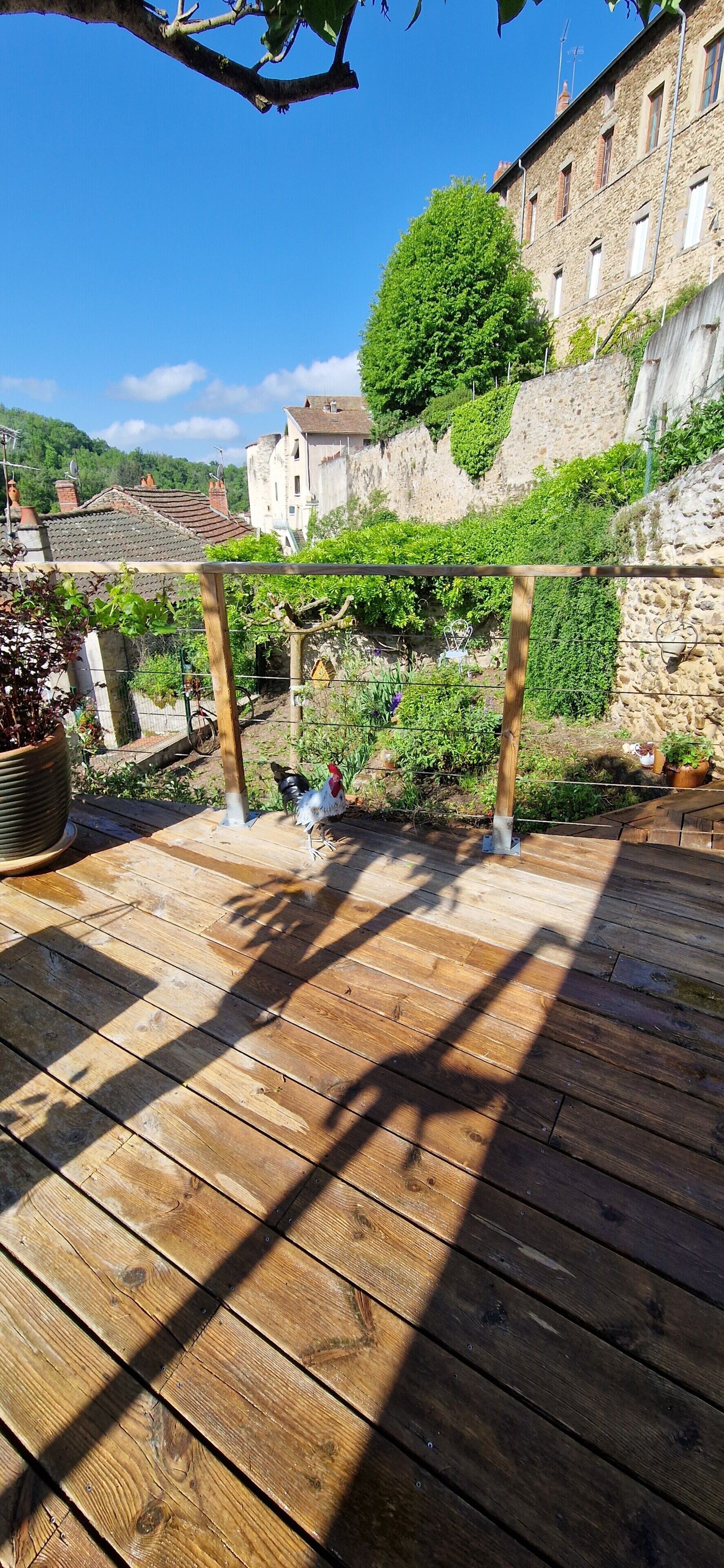 Una terraza de madera con una pérgola, una planta en maceta y una bicicleta.