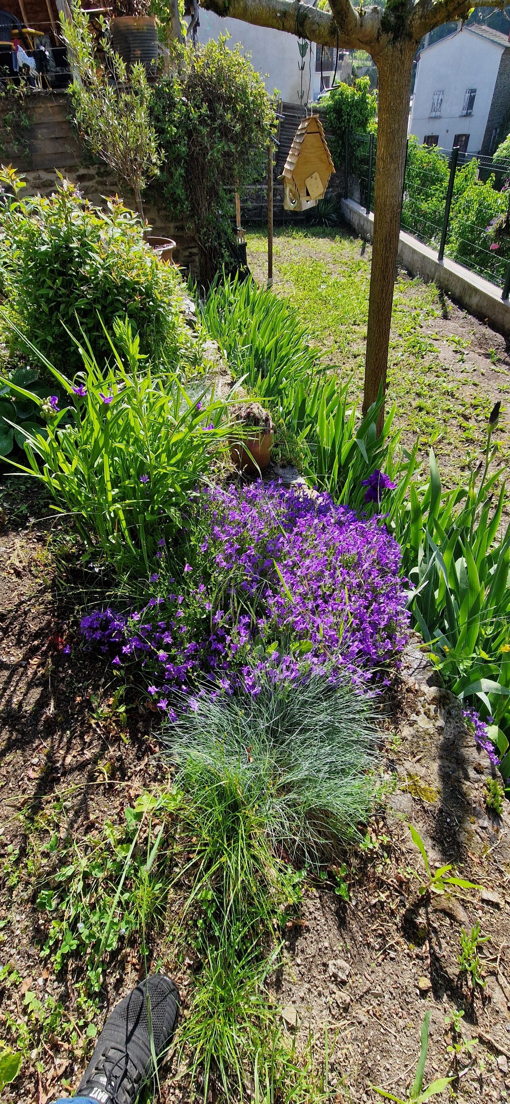 A garden with various plants and a birdhouse.