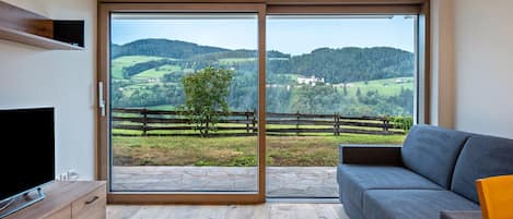 Fernseher