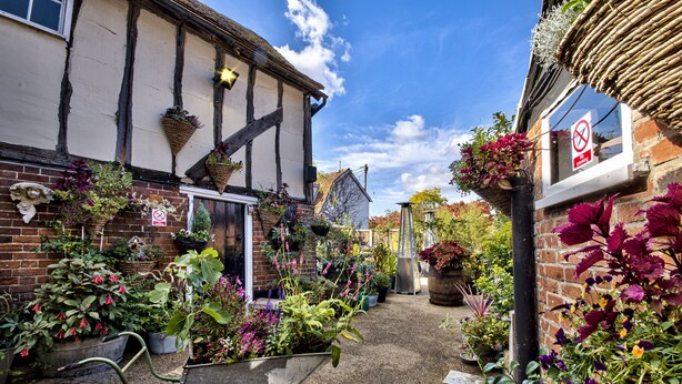 A narrow alley with a wheelbarrow, potted plants, and a building with exposed brick and timber framing. - The WoolPack Inn (Colchester)