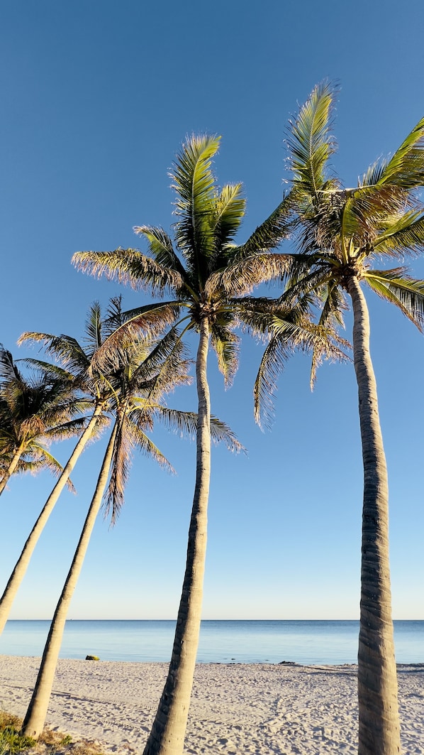 Una playa cerca