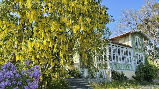 Ett hus med ett vitt staket, en grön fasad och ett rött tak.