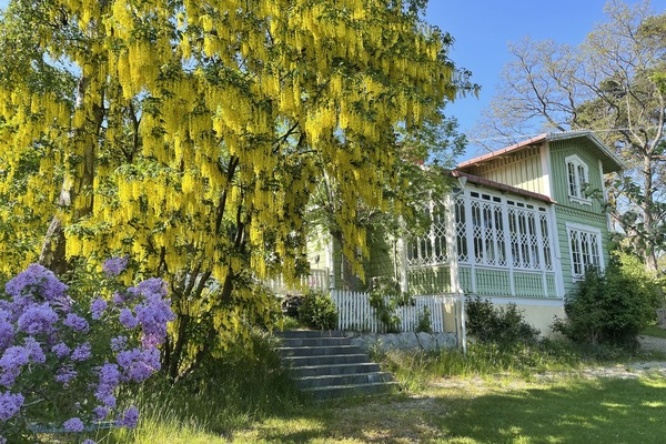 Beautiful veranda windows of this historic home