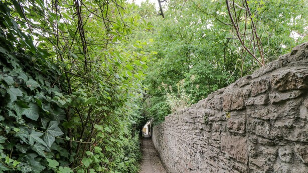 A narrow stone pathway flanked by dense green foliage, leading to a distant structure. - White Roses (Ross-on-Wye)