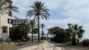 A paved walkway with intricate tile patterns, palm trees, and a building with balconies in the background. - Centromar Residence Ocean View by Atlantic Holiday (Funchal)