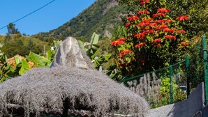 A traditional house with a thatched roof, a stone water feature, and lush greenery. - Stone House Vista by Atlantic Holiday (São Vicente)