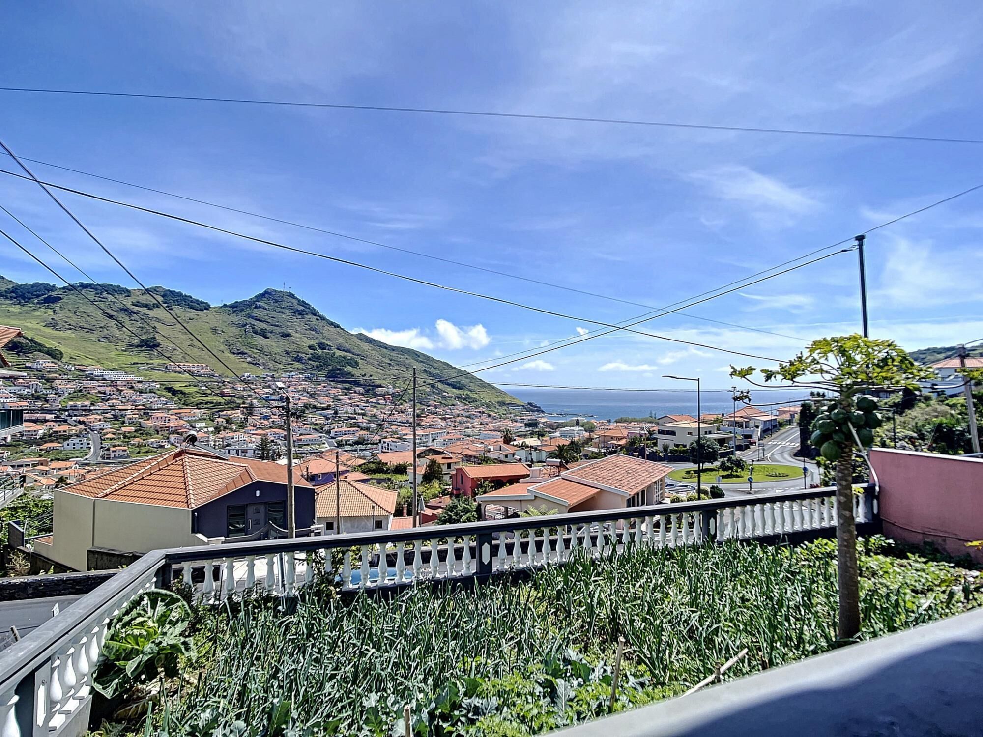 A residential area with houses, a mountain, and a view of the ocean.